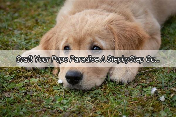 Craft Your Pups Paradise A StepbyStep Guide to Building a Mini Dog House